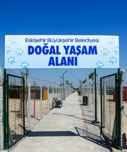 Doğal yaşam alanında doğal olmayan haller...