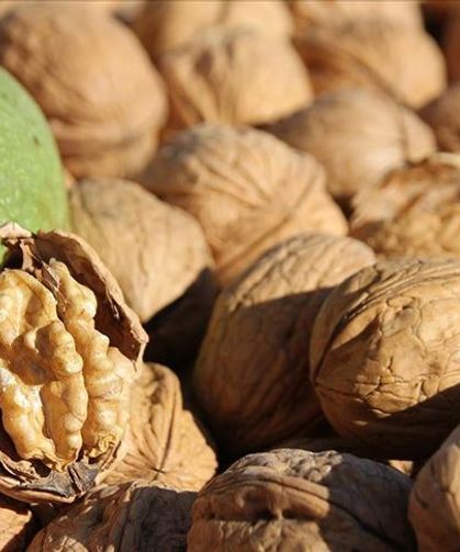 Eskişehir’de ceviz fiyatı cep yakıyor