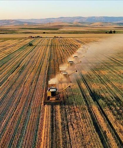 Tarımda dev destek: Ödemeler bugün yapılacak!