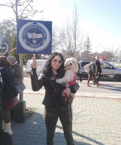 Eskişehir'de eş zamanlı köpekli eylem