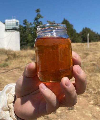 Eskişehir'de üretilip Avrupa'da rekor kırdı!