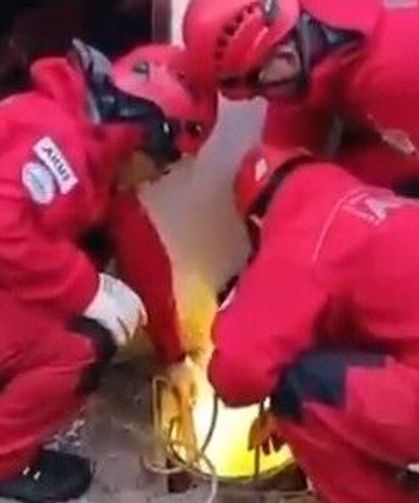 Eskişehir'de apartman kuyusuna düşen kedi operasyonla çıkarıldı