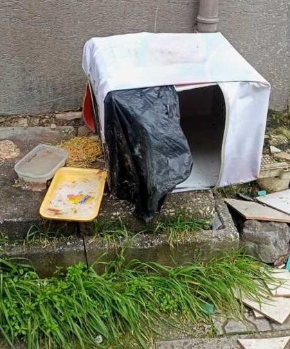 Şirintepe'de bozulmuş yemekler sokakta tepki çekti