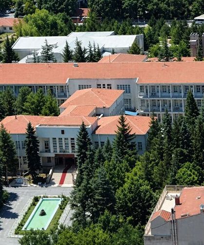 Özelleştirme yeniden...