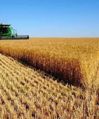 Eskişehir'de acil önlem çağrısı: Savaşın faturası çiftçiye kesildi