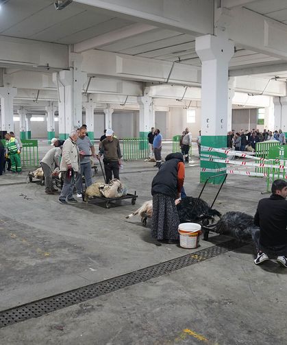 Tepebaşı’ndan vatandaşlara düzenli ve güvenli kesim alanı