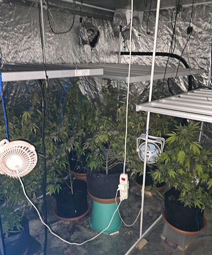 Eskişehir'de zehir tacirlerine ağır darbe: Binlercesi ele geçirildi