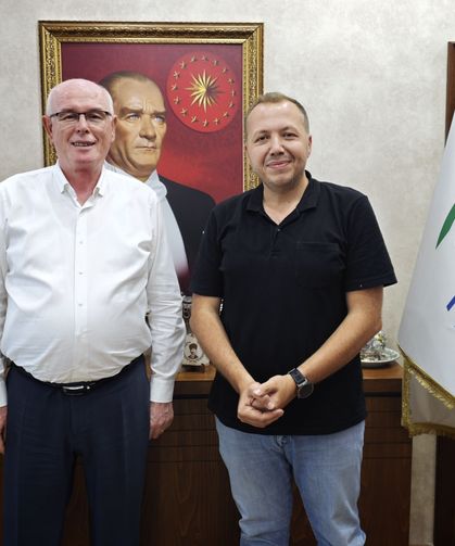 ANKETTEN SİYASETE