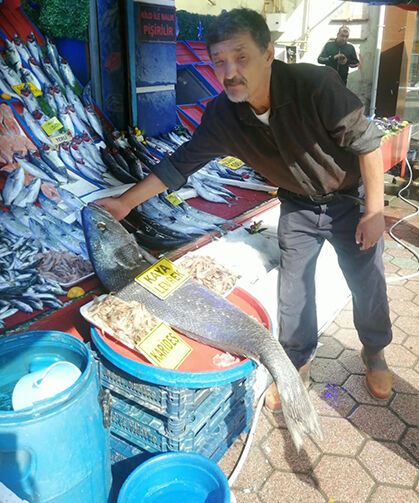 Eskişehir’de tezgahı kaplayan dev levrek! Tam 22 kilo