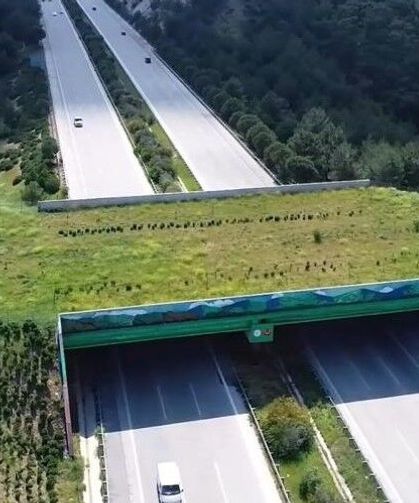 Türkiye'de 5 tane var: Biri de eskişehir hattı için geliyor