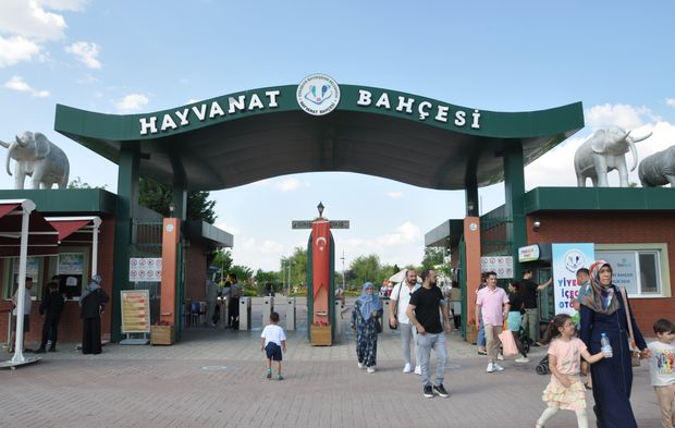 Eskişehir Hayvanat Bahçesi'nde en çok onlar ilgi çekiyor