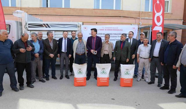 Eskişehir'in 6 ilçesinde ayçiçeği üretimine destek