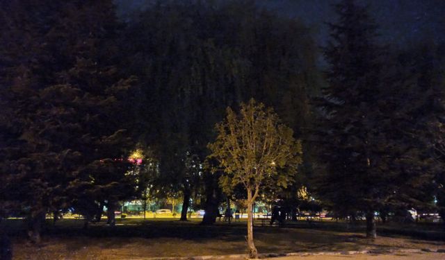Eskişehirli vatandaşlar parklara aydınlatma bekliyor