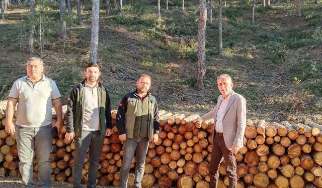 Orman Bölge Müdürü Dingil, Kütahya ve ileçelerde incelemelerde bulundu