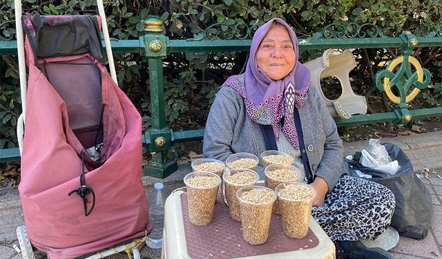 Eskişehir'de 73 yaşındaki kadın kuşlar sayesinde yaşama tutunuyor