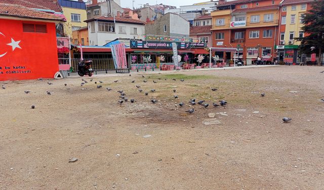 Eskişehir'in o noktası güvercinlerin beslenme yeri oldu