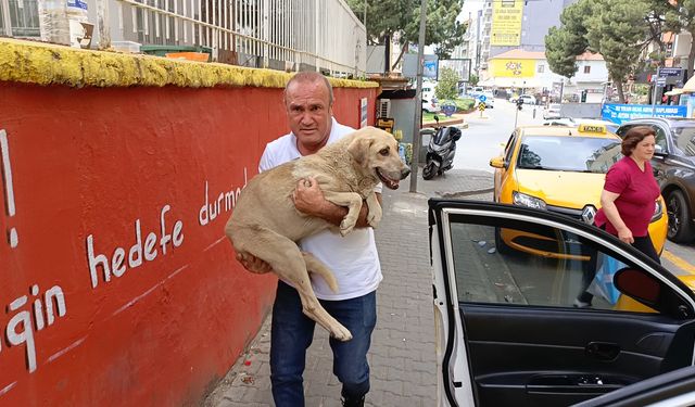 Aydınlı taksicinin örnek davranışı yürekleri ısıttı!