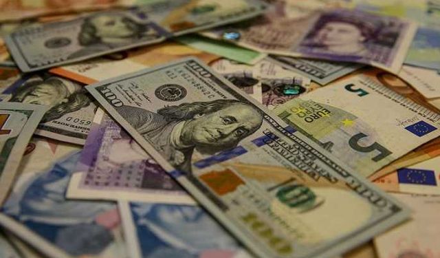 Dövizde günün kazananı dolar oldu
