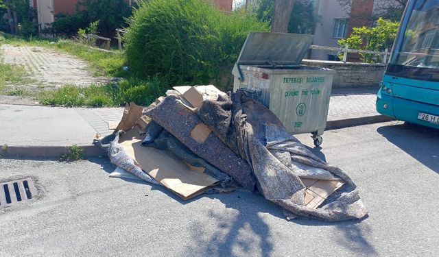 Eskişehir'deki konteynr yanında dikkat çeken atık!