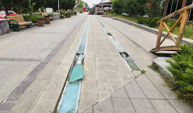 Eskişehir'in göbeğinde dikkat çeken bakımsızlık