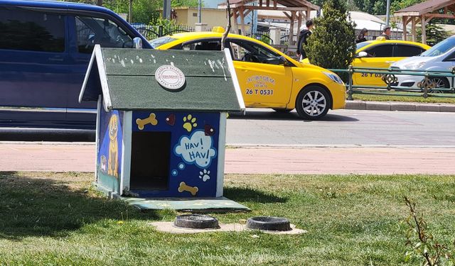 Eskişehir'de sokak hayvanlarına can olan uygulama
