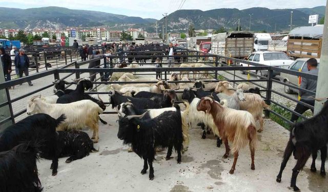 Kütahya Canlı Hayvan Pazarı geçici olarak kapatıldı