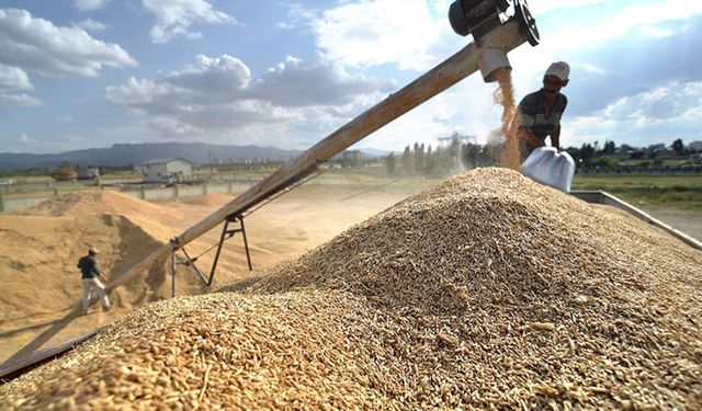 Eskişehir'de ilk mahsule açık artırma: İşte satıldığı fiyat