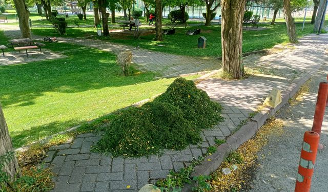 Tepebaşı Belediyesi parkta temizlik ve çim biçme çalışması yaptı