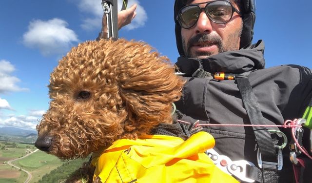Toby isimli köpek paraşütle atlayıp 330 metrede uçuş deneyimi yaşadı
