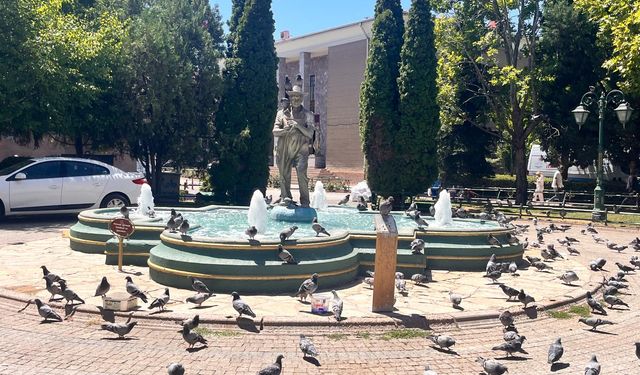 Eskişehir'de süs havuzları kuşların serinleme noktası oldu