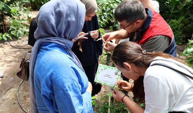 Afyonkarahisar’da öğrenciler tıbbi bitki merkezini gezdi
