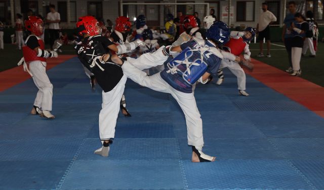 Bilecikli öğrencilerde Taekwondo şenliğinde yer aldı