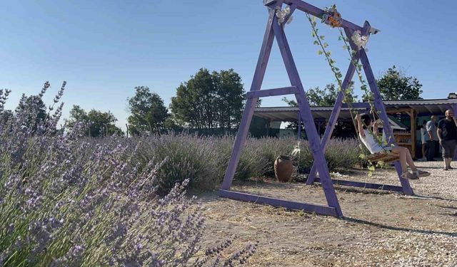 Ektiği lavantalar ile bahçesinde morun her tonunu barındırıyor