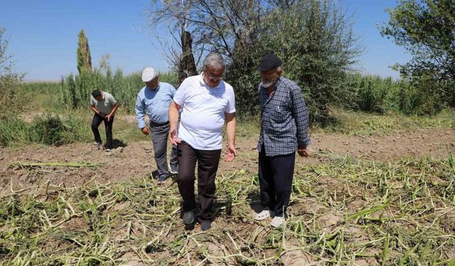 Milletvekili Yurdunuseven zarar gören tarım arazilerini inceledi