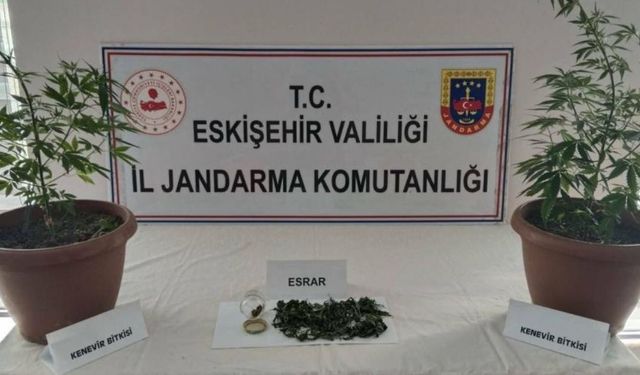 Eskişehir’de evinin balkonunda zehir yetiştirdi!
