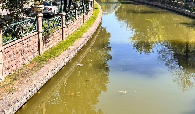 Porsuk Çayı’ndaki kirlilik tepki topladı