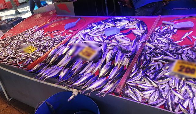 Eskişehir'de hasret bitti, tezgahlarda yerini aldı: İşte fiyatı...