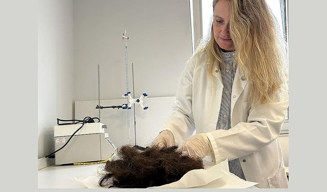 Atık saçlardan enjekte edilebilir doku yapıştırıcısı üretildi!