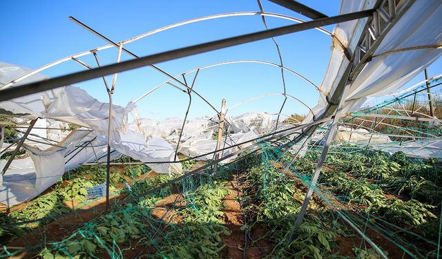 Devlet çiftçiye 3,15 milyar lira hasar desteği sağladı