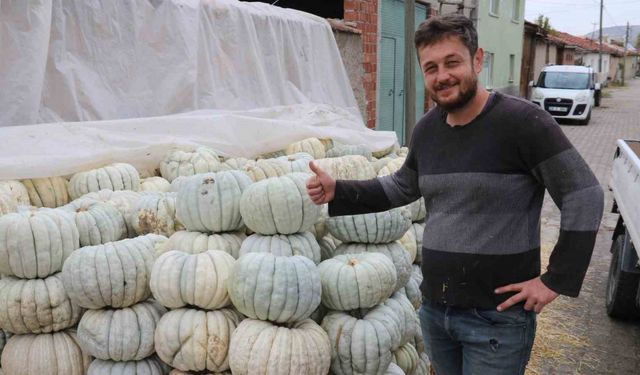 Ata tohumu ile üretilen Eskişehir’in meşhur kabağının hasadı başladı