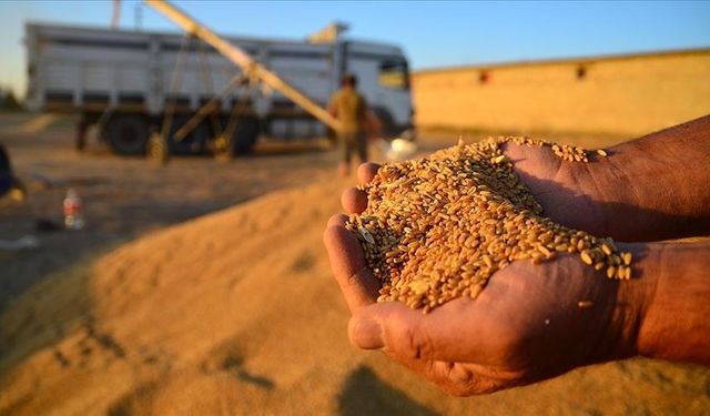 İklim değişikliği tarım ve gıda sektörünü tehdit ediyor