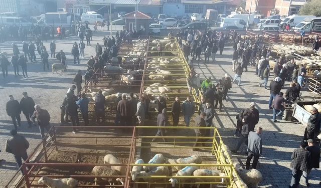 Afyon'da canlı hayvan pazarı bugün açıldı