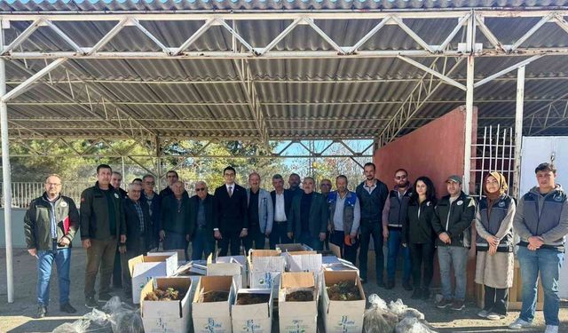 Bilecik’te 42 bin adet çilek fidesi dağıtıldı