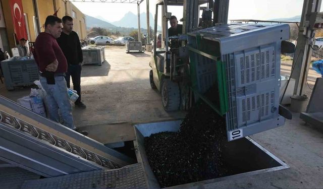 Eskişehir’in Akdeniz’inde zeytinyağının yolculuğu