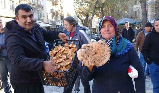 Kütahya’da melki mantarı çoğaldı, fiyatlar düştü