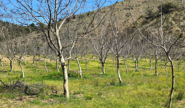 Çiftçi gelmeyen desteği bekliyor: Zarar büyük!