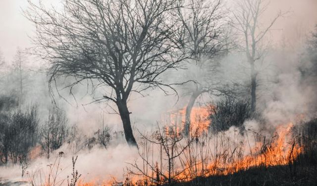 Uluslararası uzmanlardan Türkiye’ye yangınla mücadelede tam not