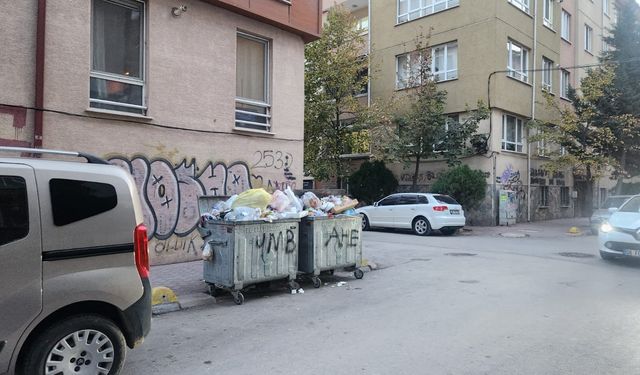 Eskişehir’de çöp sorunu vatandaşları rahatsız ediyor