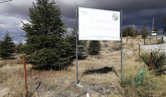 Eskişehir'de bir taraf yok olurken diğer tarafa binlerce fidan