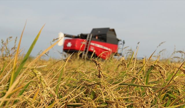 Kasımda üreticilere 4,2 milyar lira tazminat ödendi!